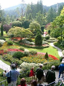 a0034225_23101016.jpg