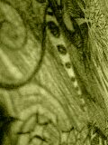 b0011287_17121424.jpg