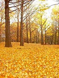 a0035678_18243455.jpg