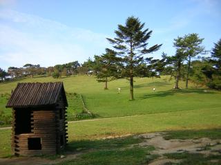 b0013897_2121528.jpg