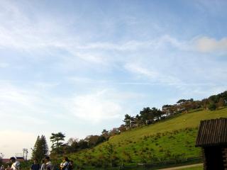 b0013897_2122528.jpg