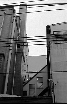 a0018719_01782.jpg