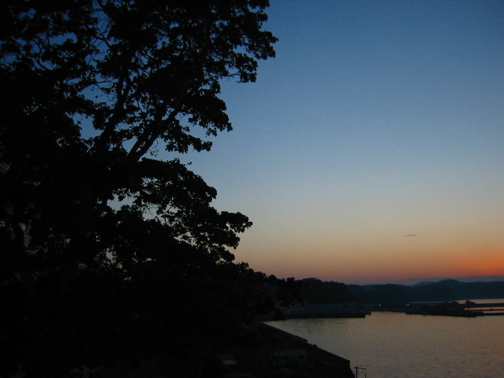 a0010194_22491927.jpg