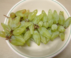 a0011999_02621.jpg
