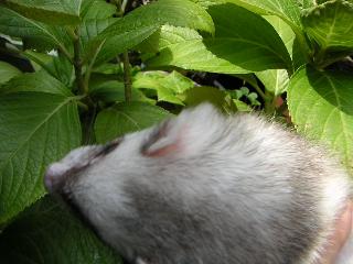 a0018200_17461237.jpg