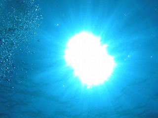 b0000813_2183390.jpg