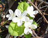 a0030639_19272047.jpg