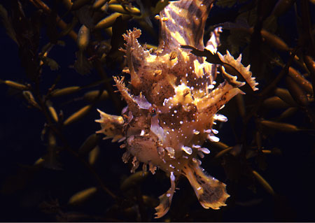 b0016792_203628100.jpg
