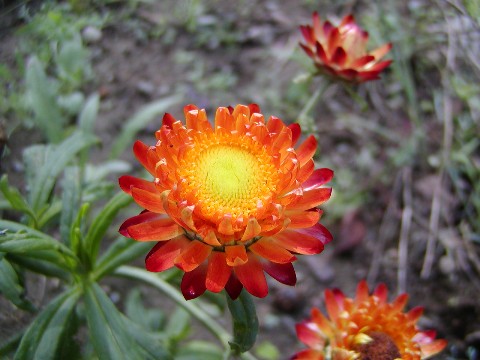 a0004023_21104747.jpg