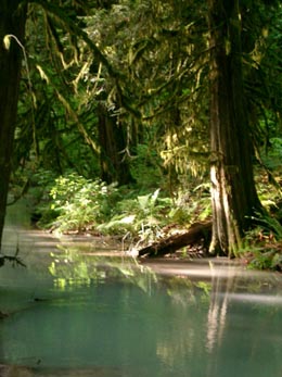 a0034225_21455260.jpg