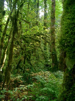 a0034225_21502840.jpg