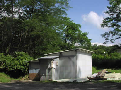 b0005662_12301056.jpg