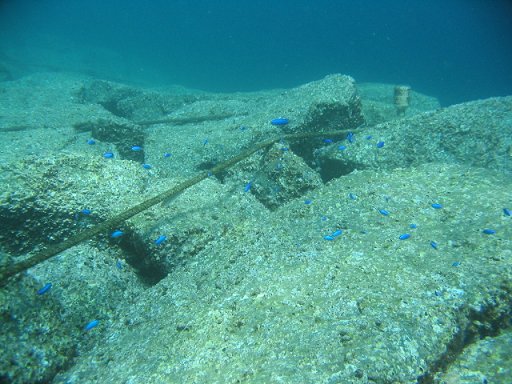 a0031454_21124599.jpg