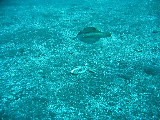 a0031454_21135251.jpg