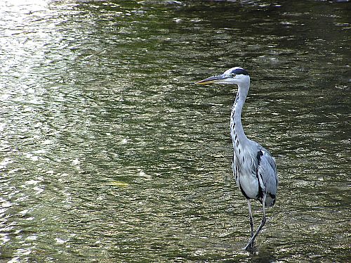 a0024305_19295553.jpg