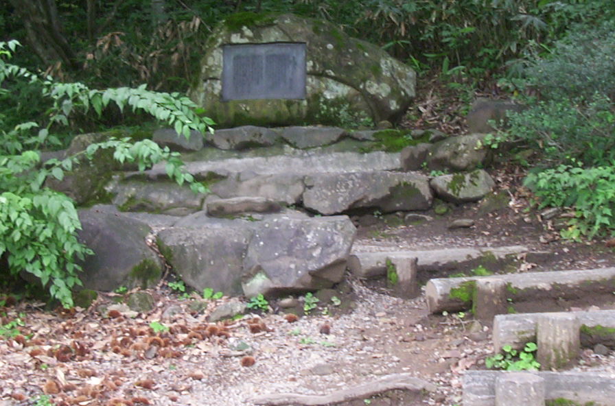 a0029157_12314525.jpg