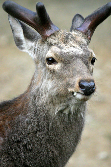 b0016600_0281878.jpg