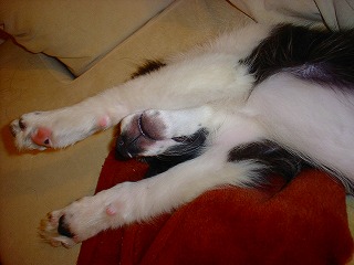 b0003270_15273331.jpg