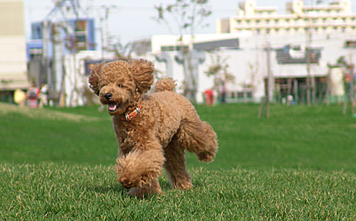 a0016311_23401683.jpg