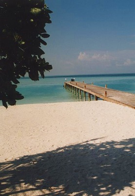 a0023510_1821629.jpg