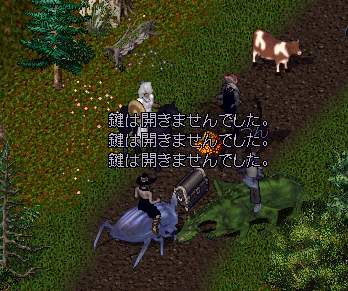 a0023600_8343998.jpg