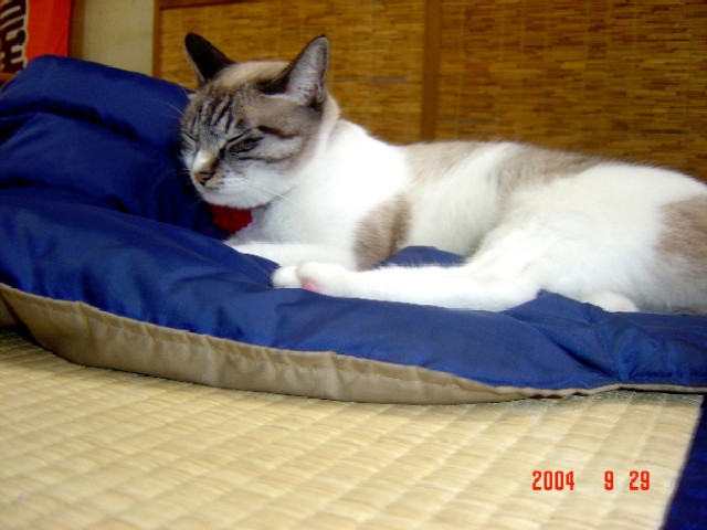 a0005691_10313190.jpg