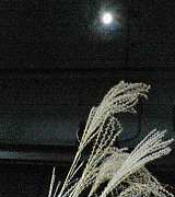 a0021608_7111830.jpg