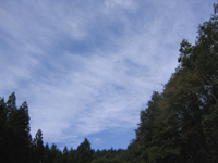 a0034438_13224783.jpg