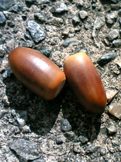 b0032876_23395936.jpg