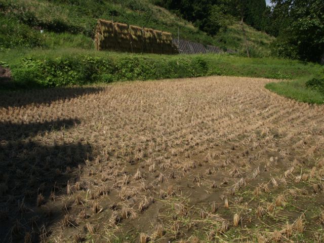 a0025569_20504275.jpg