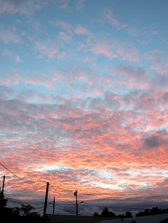 b0001980_16414753.jpg