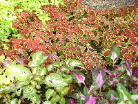 b0026701_21232730.jpg