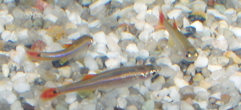 a0016745_15283383.jpg