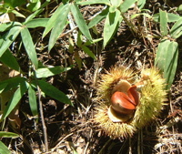 a0011999_16284057.jpg