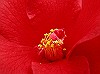 b0028100_5522182.jpg