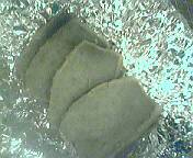 b0009205_22301418.jpg