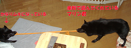 a0009750_11541385.jpg