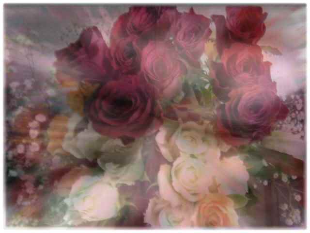 a0021871_12583881.jpg