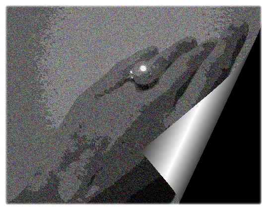 a0021871_4172342.jpg