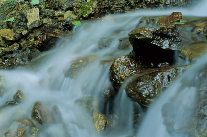 a0020184_7384100.jpg