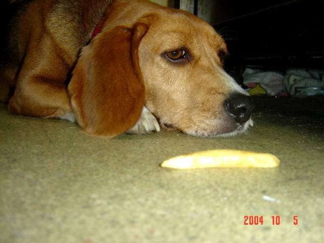 a0005691_2336206.jpg