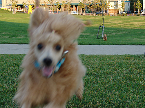a0016311_210594.jpg