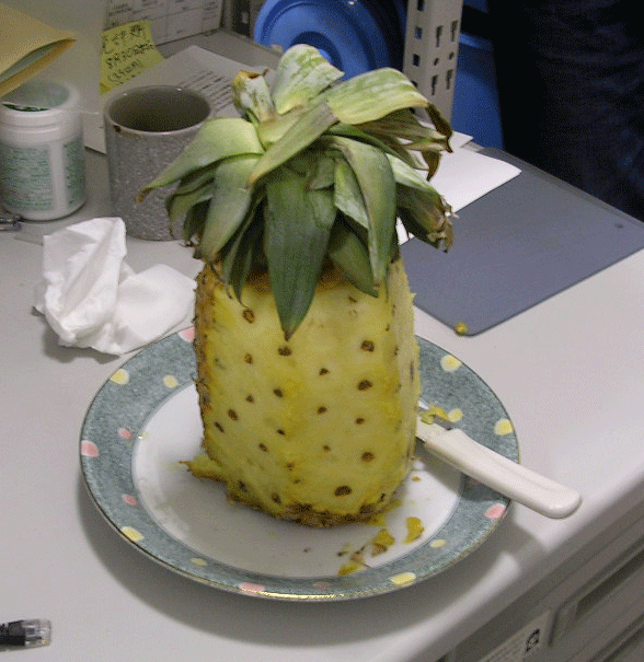 b0011345_15114230.gif