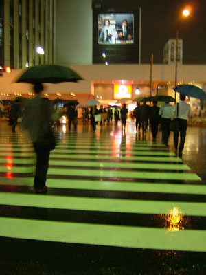 a0033493_1565977.jpg