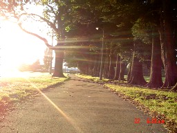 a0018711_21355846.jpg