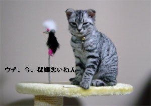 カメラ向けると途端にこの表情