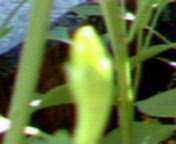 b0007895_21543814.jpg