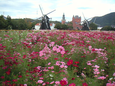 a0015110_19263669.jpg