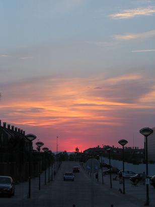 a0021939_1402775.jpg