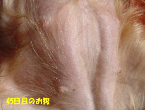 b0001440_13345380.jpg